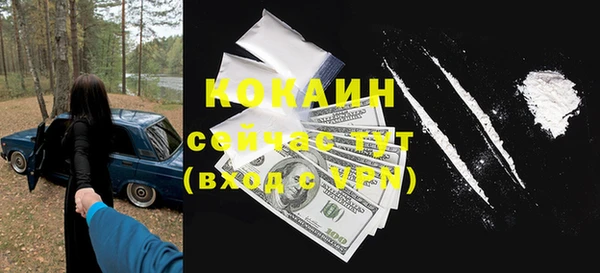 apvp Снежногорск