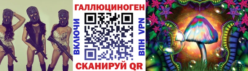 Псилоцибиновые грибы Cubensis  Кировград 